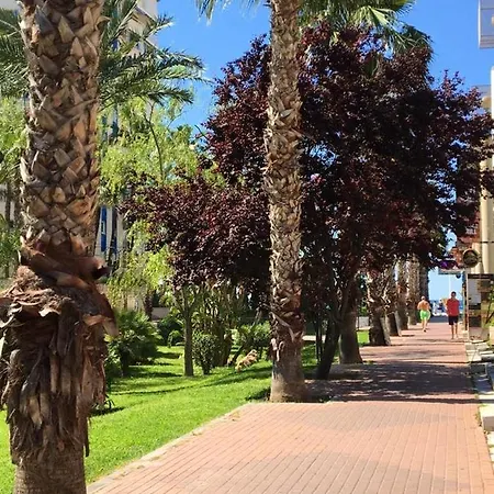 Calle Gerona - 2 * Benidorm